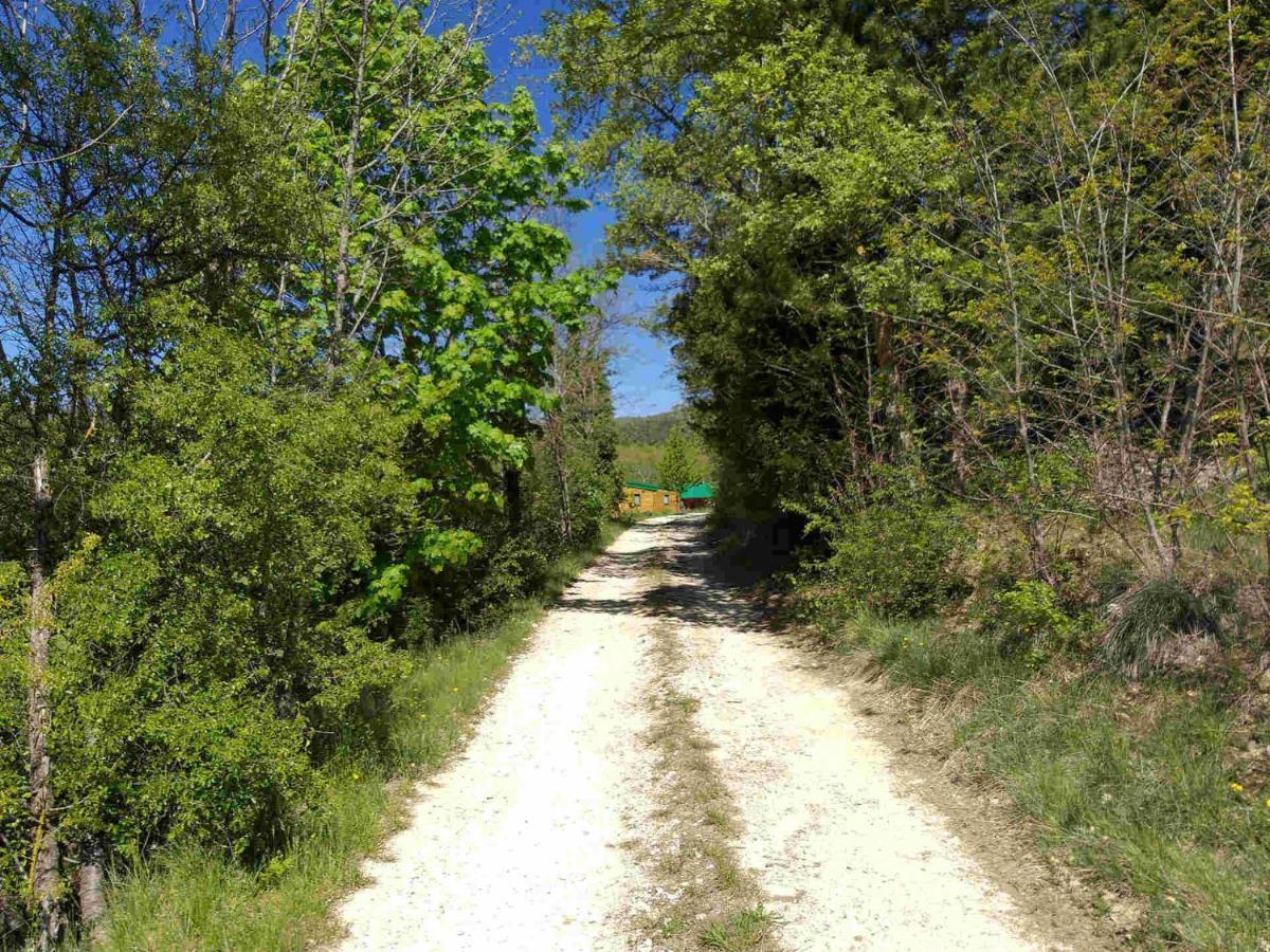 דיולפי Les Chalets De Saint Maurice מראה חיצוני תמונה